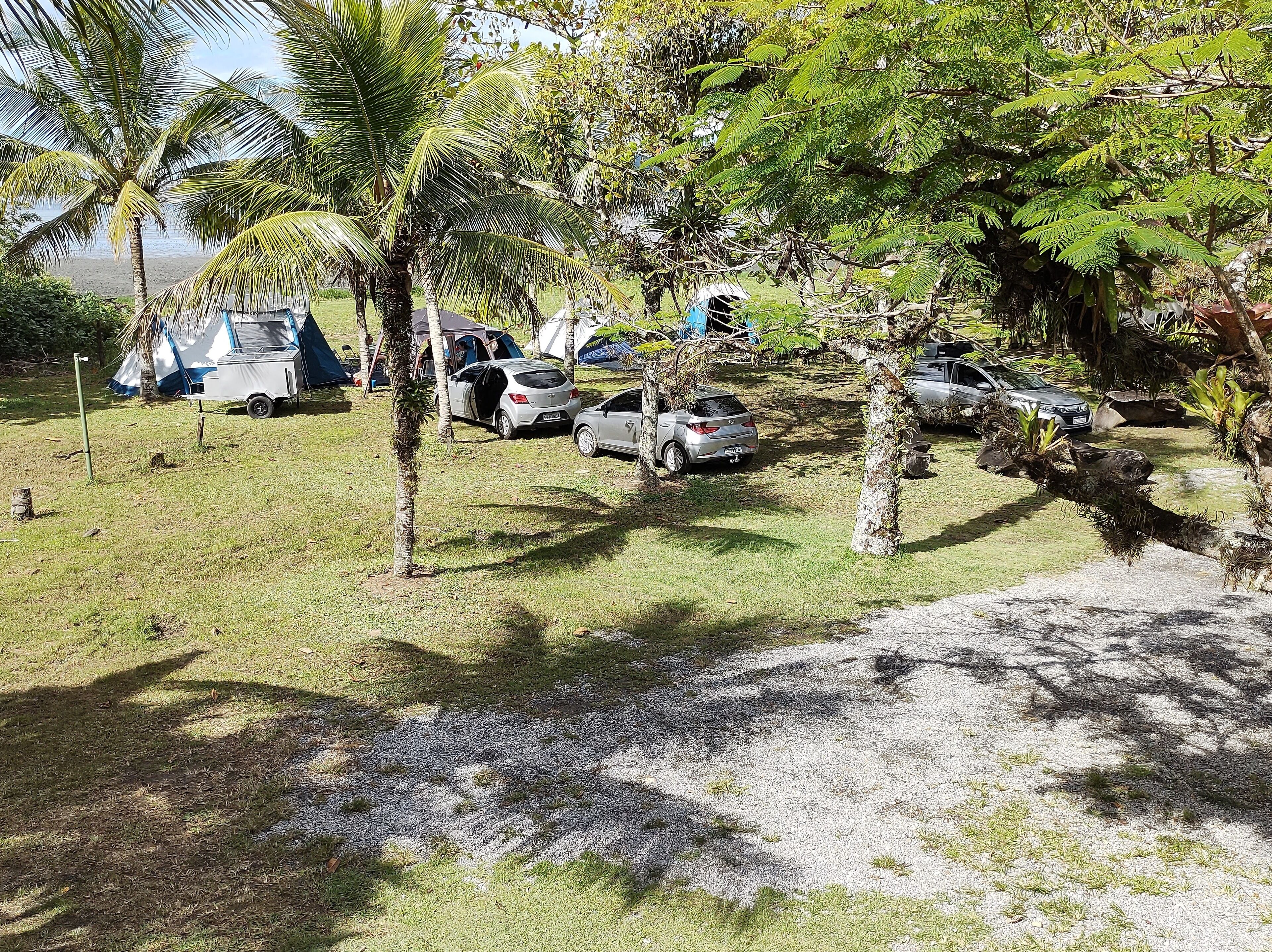 A campsite with tents, cars, and palm trees.