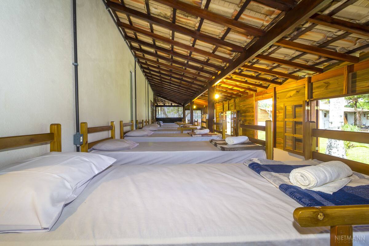 A row of single beds with wooden headboards, a high ceiling with exposed beams, and a view of the outside through large windows.
