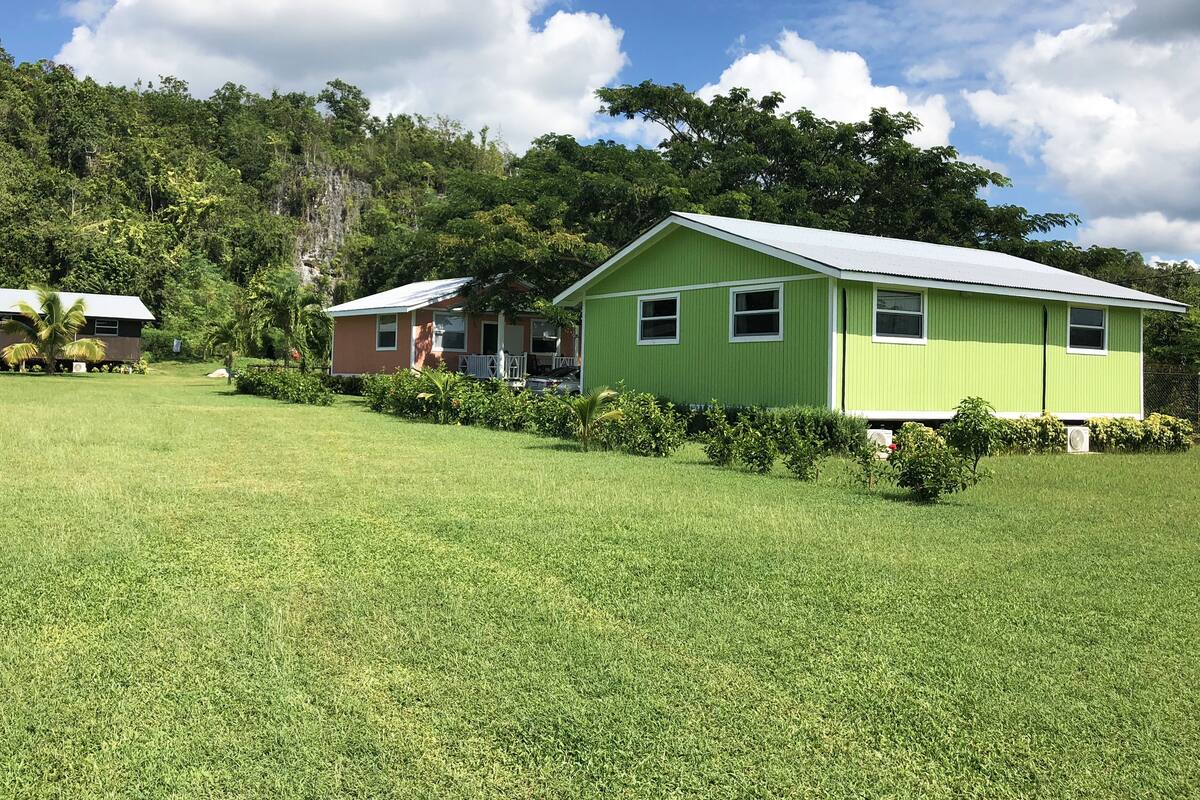 A green house with a porch and a lawn in front.