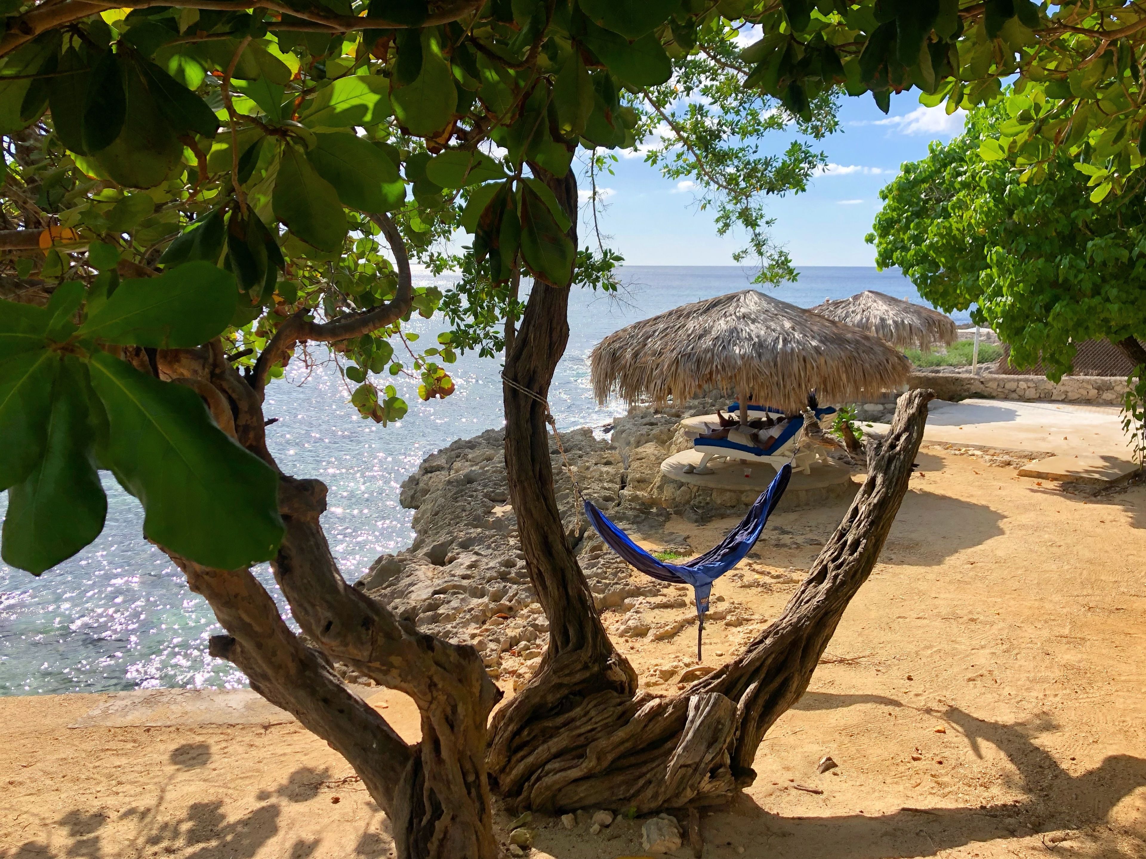 A hammock under a tree by a beach with a thatched-roof structure in the background.