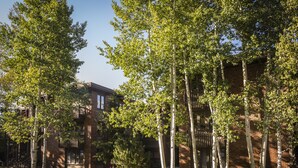 Unclassified image, 4 of 11, button - Cottonwoods by Frias Properties (Aspen)