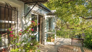A patio with a wooden table and chairs, surrounded by potted plants and flowers. - Hedge House (Cape Town)