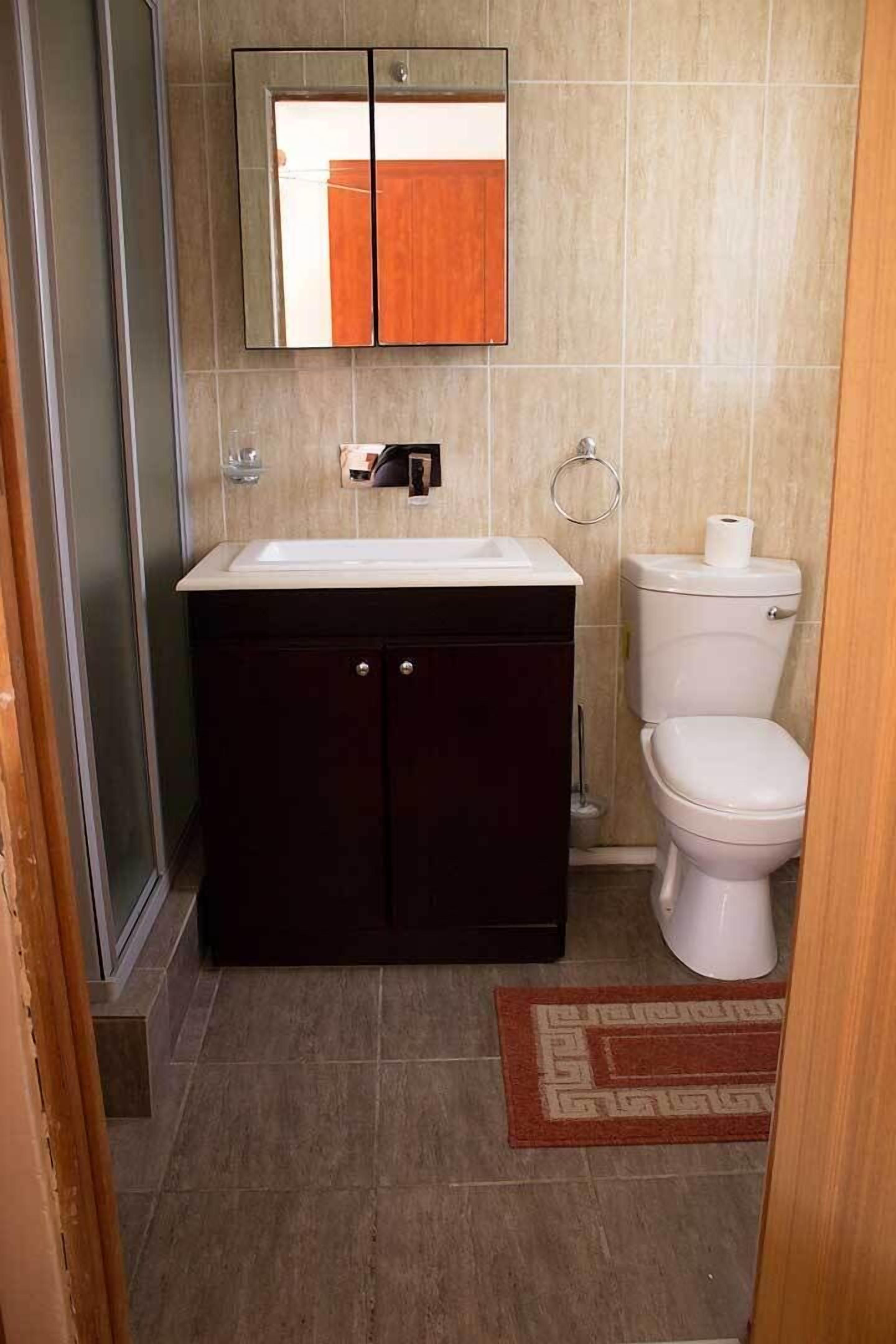 Combined shower/bathtub, free toiletries, towels, soap