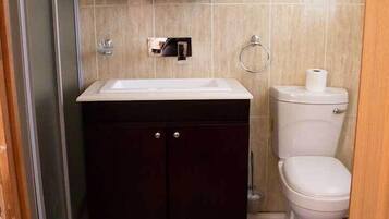 Combined shower/bathtub, free toiletries, towels, soap