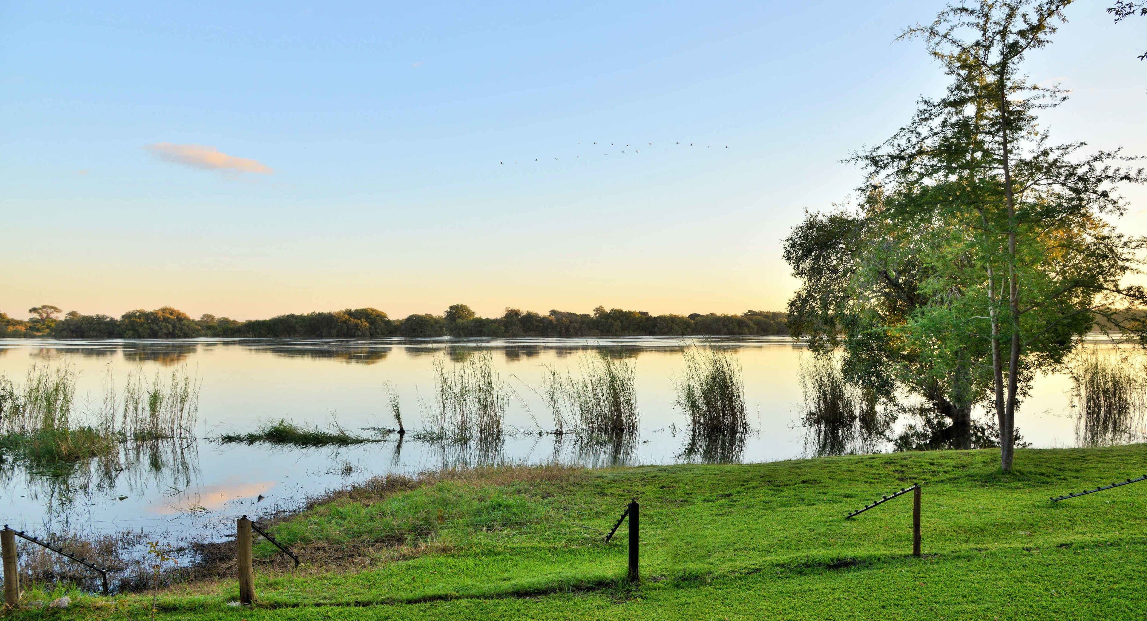 A tranquil lakeside scene with a grassy area, a tree, and a fence.