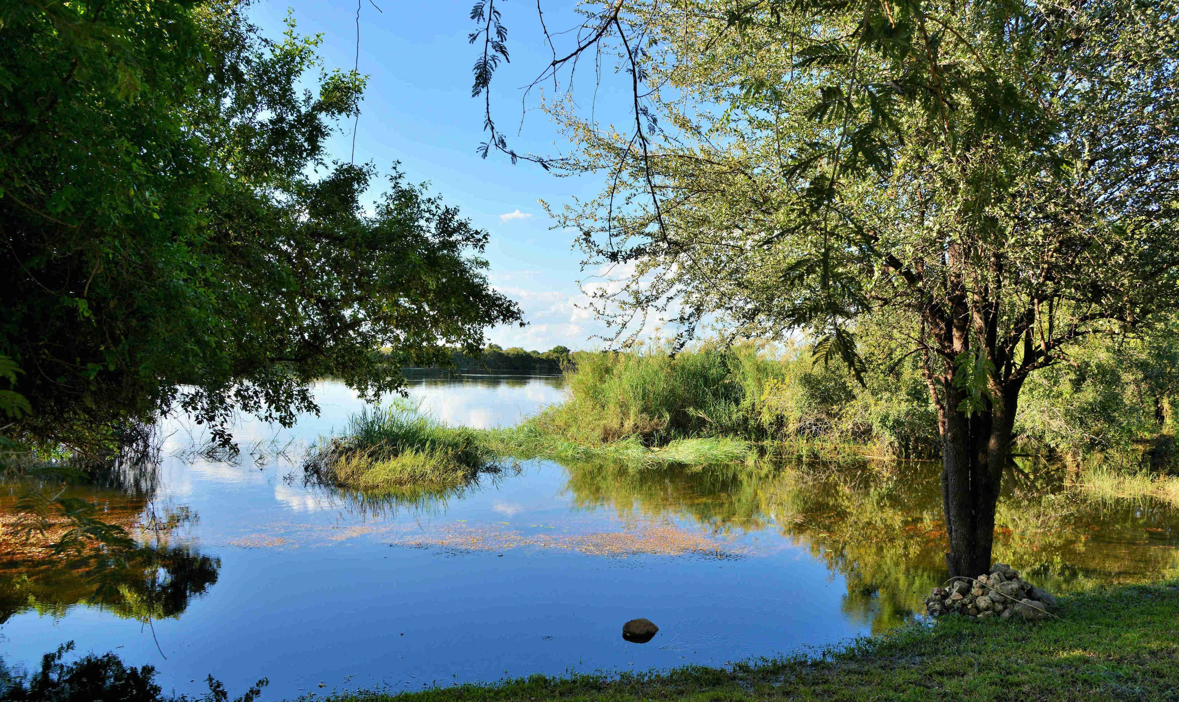 Un lago tranquillo circondato da vegetazione rigogliosa e alberi.