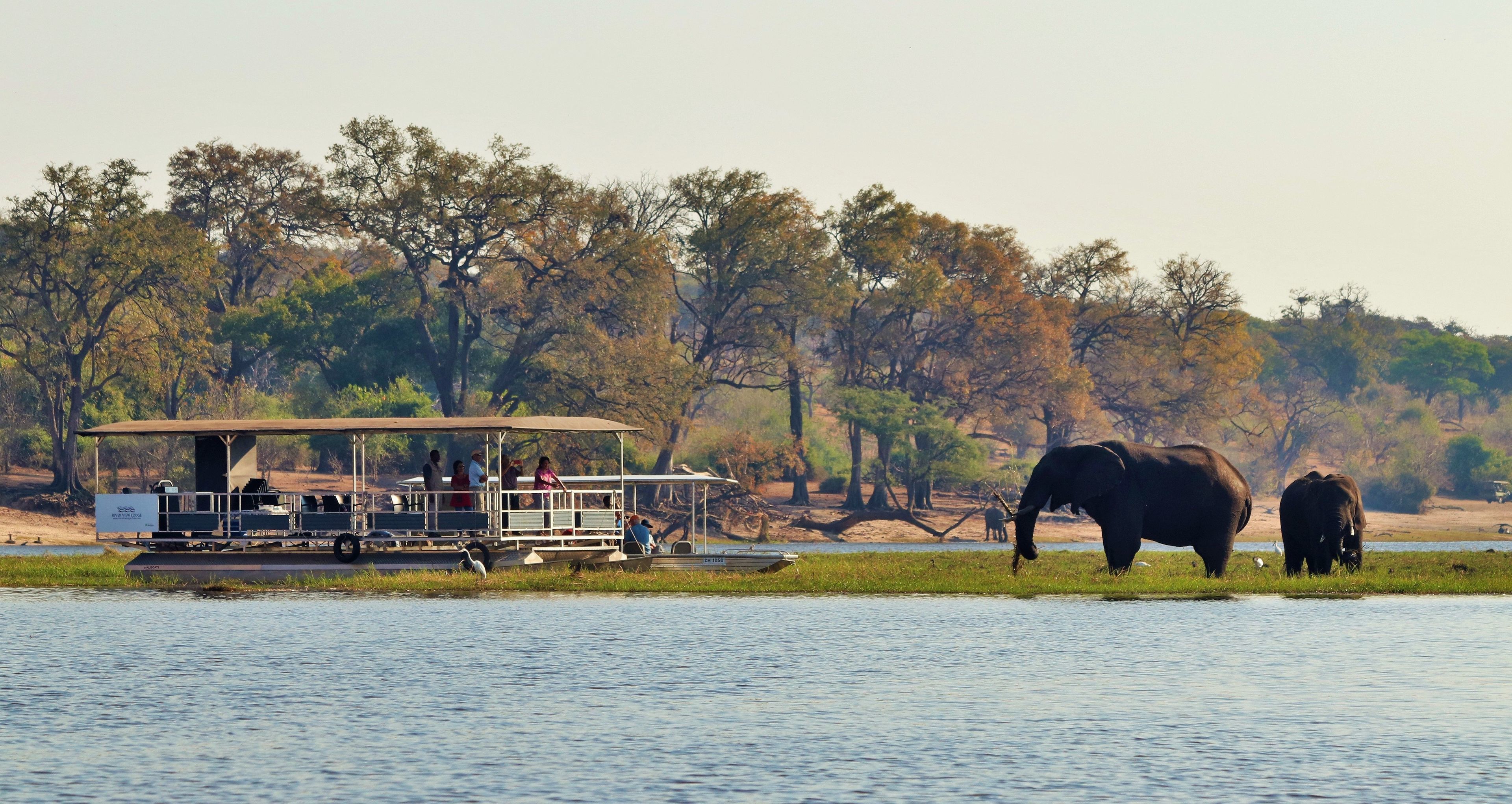 Un lodge de safari doté d’une plateforme d’observation couverte et d’un bateau.
