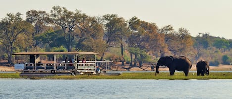 Un lodge de safari doté d’une plateforme d’observation couverte et d’un bateau.