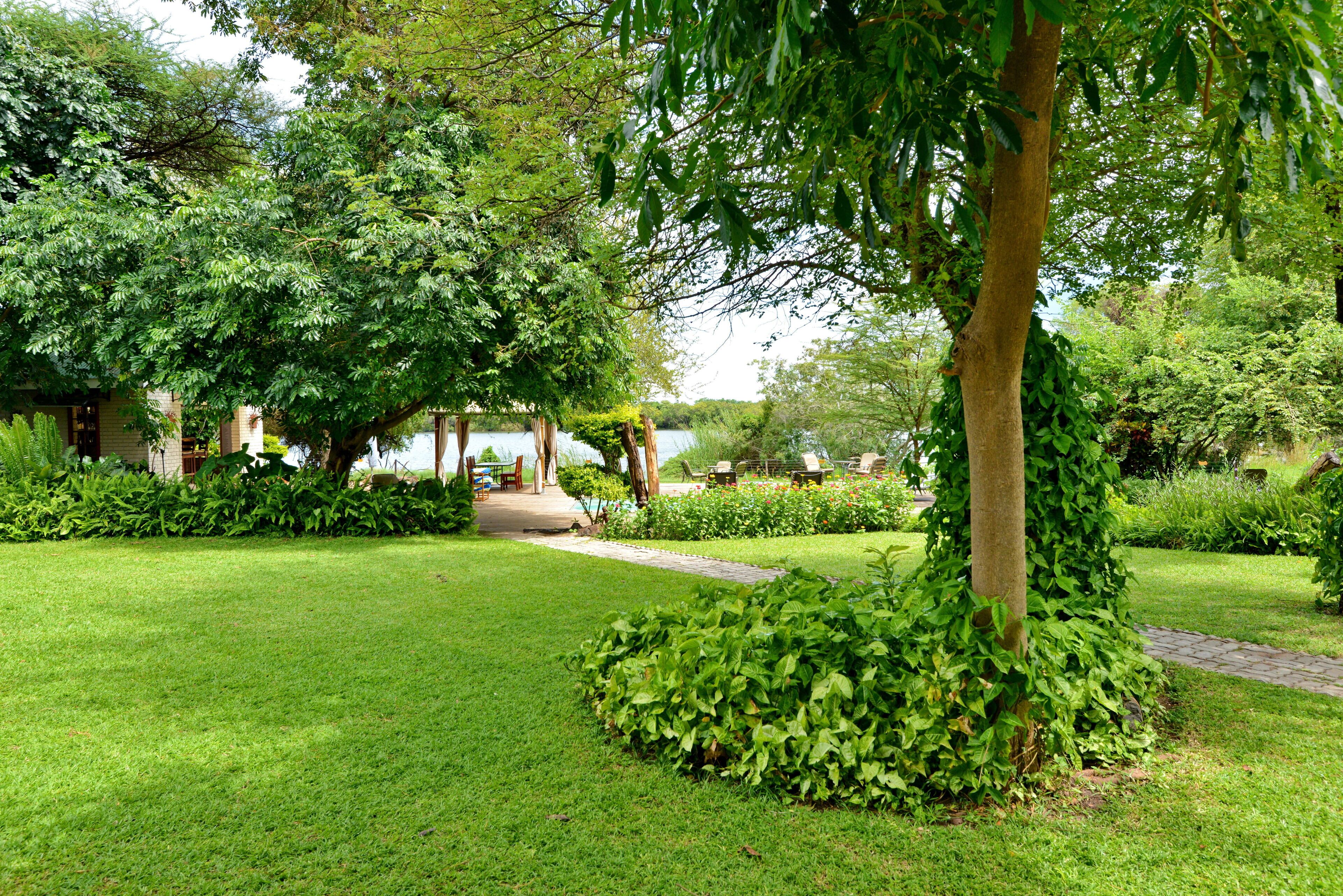 Un exuberante jardín con un camino empedrado, diversos árboles y un edificio al fondo.