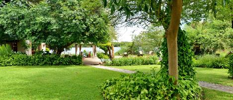 A lush garden with a paved walkway, a variety of trees, and a building in the background.