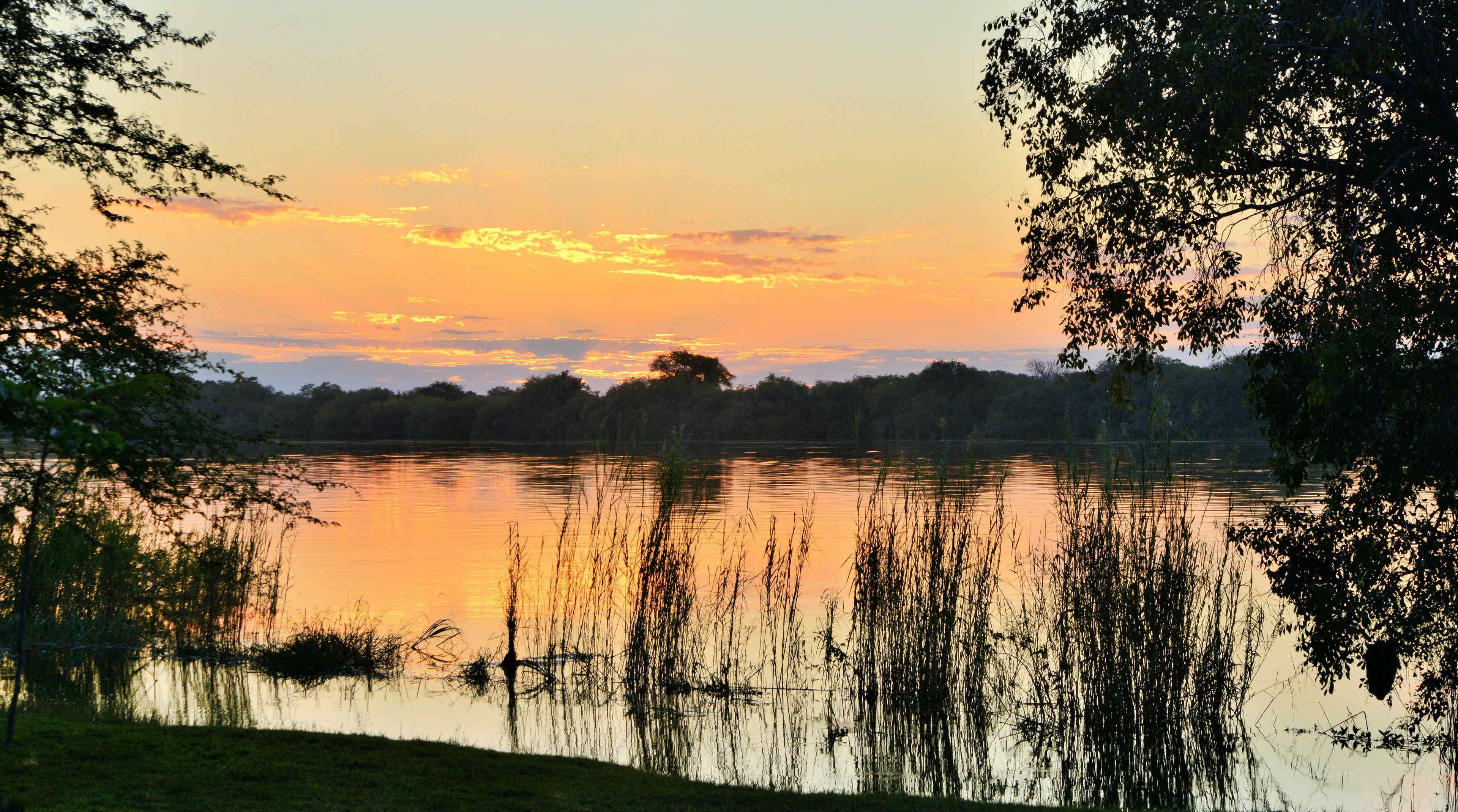 A serene lakeside view with trees framing the scene.