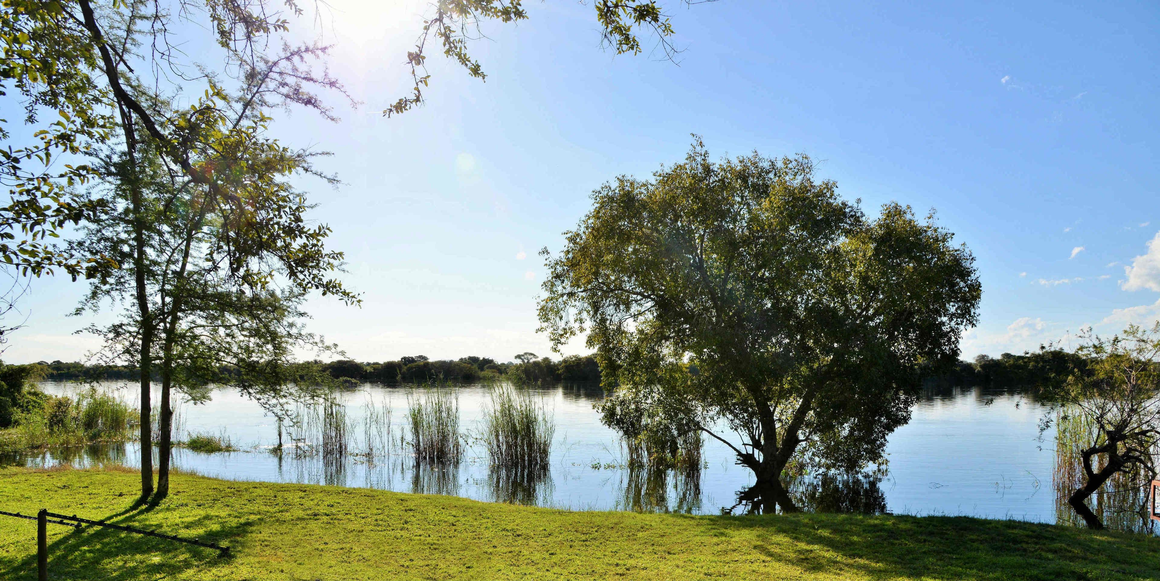 Une vue paisible sur un lac, avec une zone herbeuse, des arbres et un ciel dégagé.