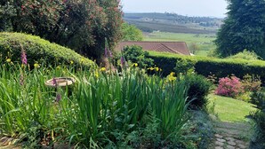 Garden - Kings Hill Bed and Breakfast (Hilton)