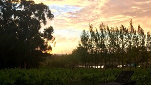 A serene outdoor setting with a swimming pool reflecting the sky, surrounded by lush greenery and a wooden deck. - Rest Chabivin Self Catering (Stellenbosch)