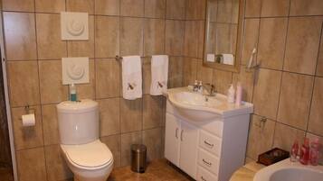 Free toiletries, hair dryer, towels