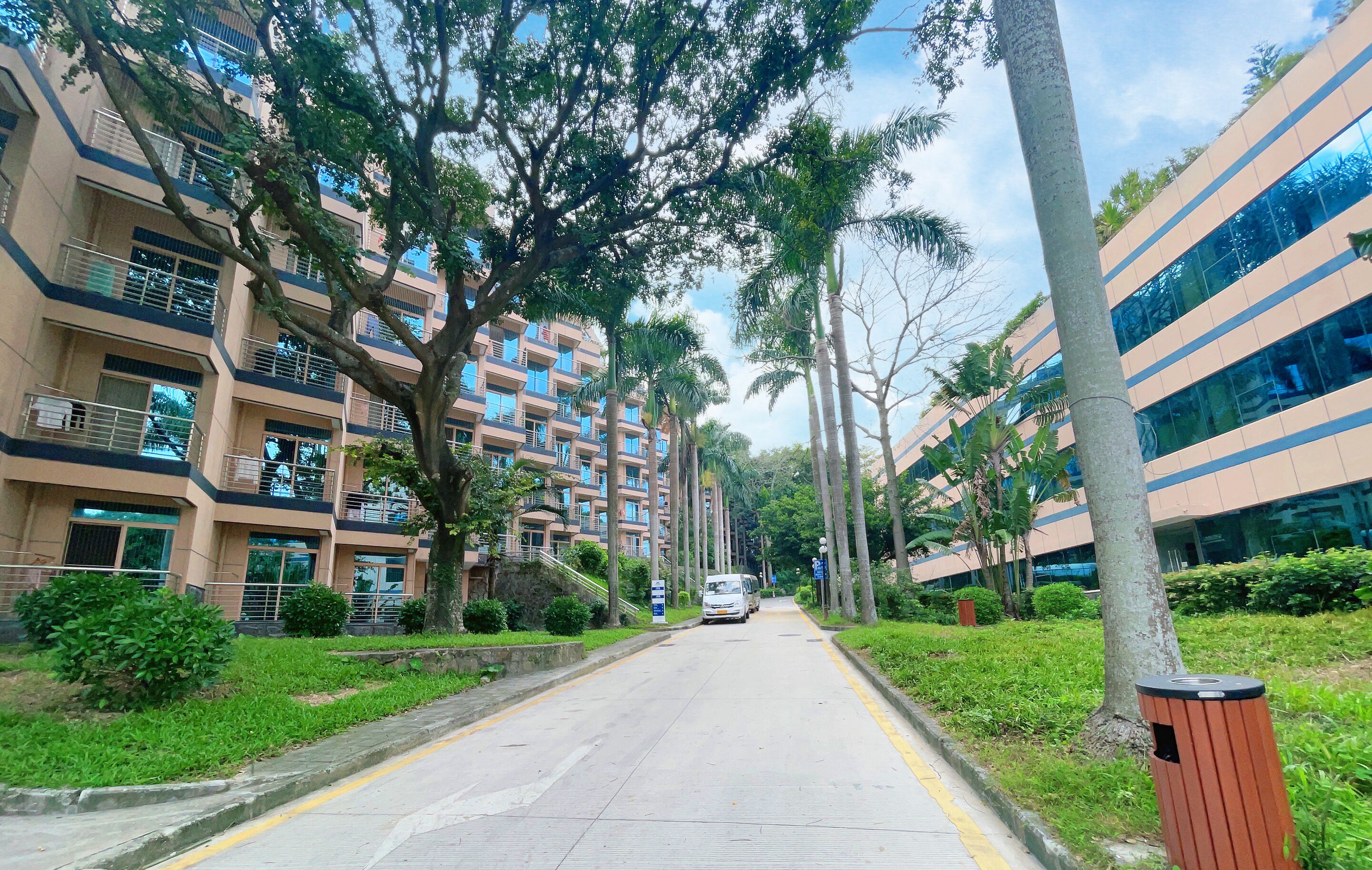 Un immeuble d’habitation doté de nombreux balcons, situé sur une rue dégagée et entouré de verdure.