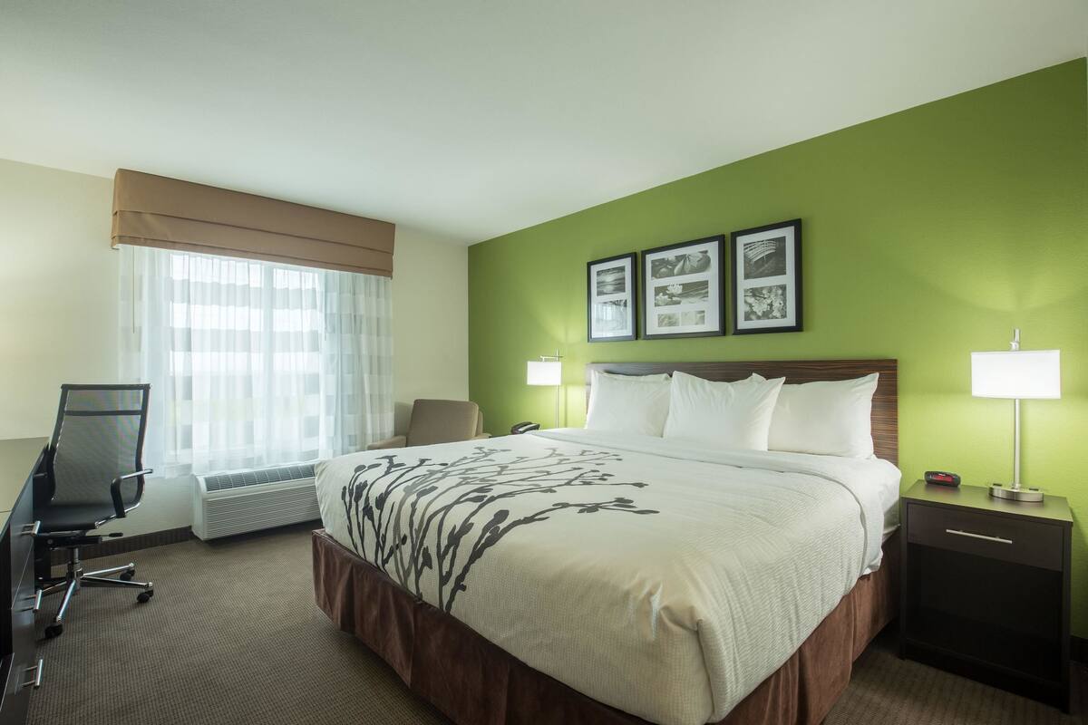 A hotel room with a bed, a desk, a chair, a lamp, and a wall with framed pictures.
