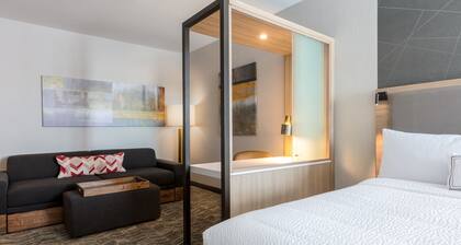 SpringHill Suites by Marriott Columbia