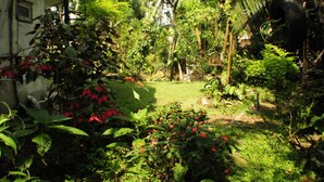 A lush garden with a variety of plants and trees, a small pond, and a pathway. - Kandy Shady Trees Villa (Kandy)