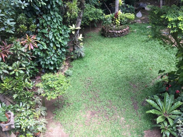 A lush garden with a variety of plants and a well-maintained lawn.