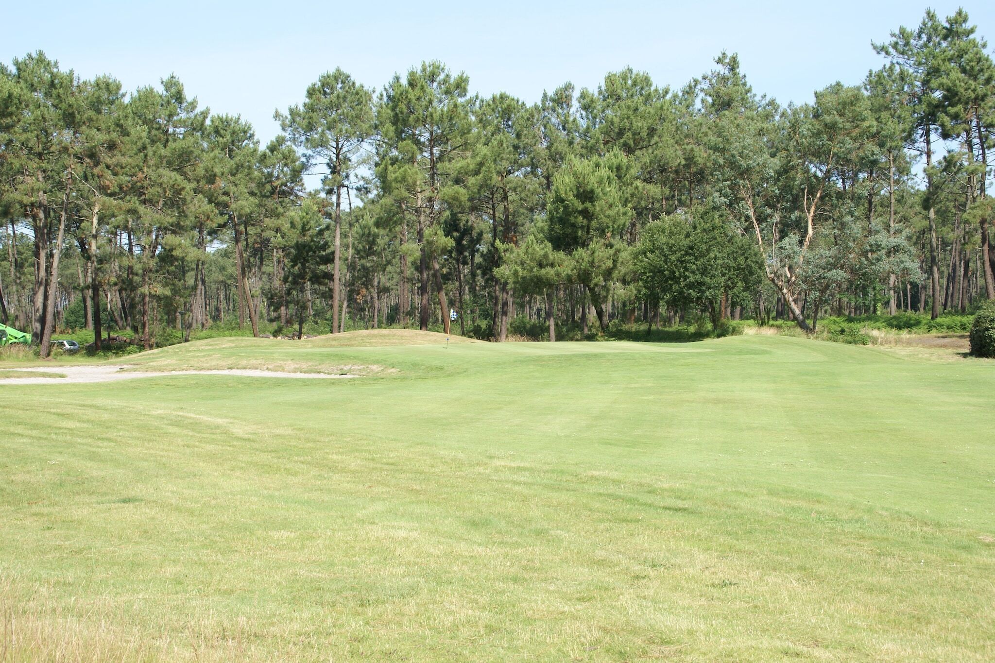 A golf course with a clear sky, surrounded by dense pine trees.