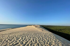 Ein Strand mit blauem Himmel, sandigem Ufer und einem Gewässer.