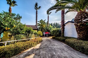 Property grounds - The May of Jeju House Pension (Seogwipo)