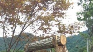 Property grounds - Danyang Healing Story Pension (Danyang)