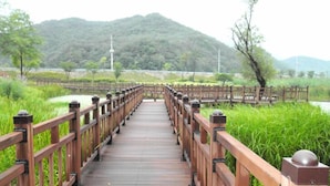Property grounds - Danyang Healing Story Pension (Danyang)