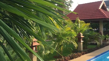 Outdoor pool, sun loungers