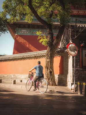 A man riding a bicycle past a traditional building with a large tree in front. - East Sacred Hotel-near Beijing Tiananmen Square,the Forbidden City,Wangfujing Street-Newly renovated hotel (Beijing)