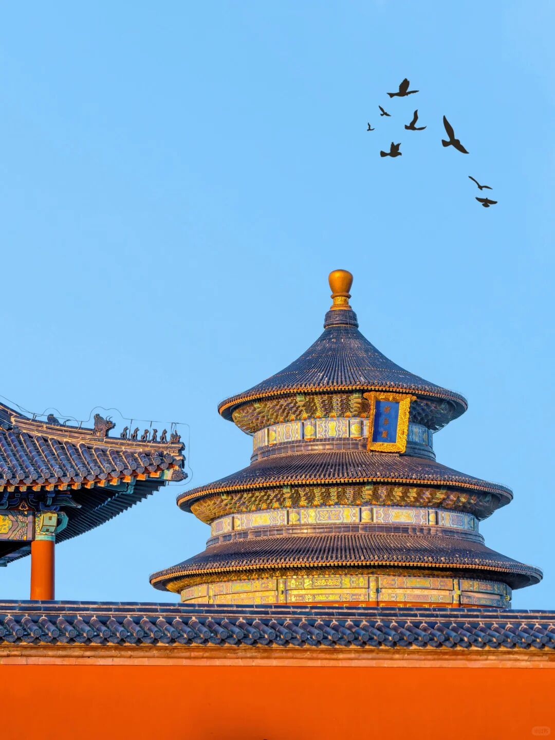 Photo - East Sacred Hotel Beijing