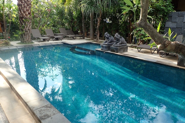 Outdoor pool, sun loungers