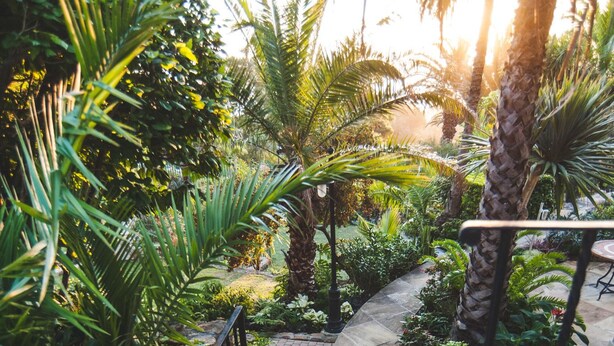 Garten