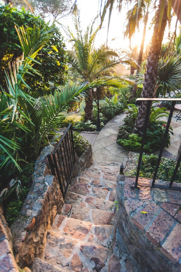 Garden - Villa Palma (Cape Town)