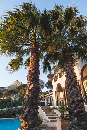 Garden - Villa Palma (Cape Town)