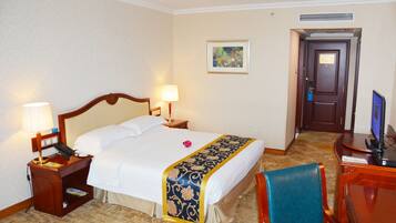 Business Standard Room | View from room