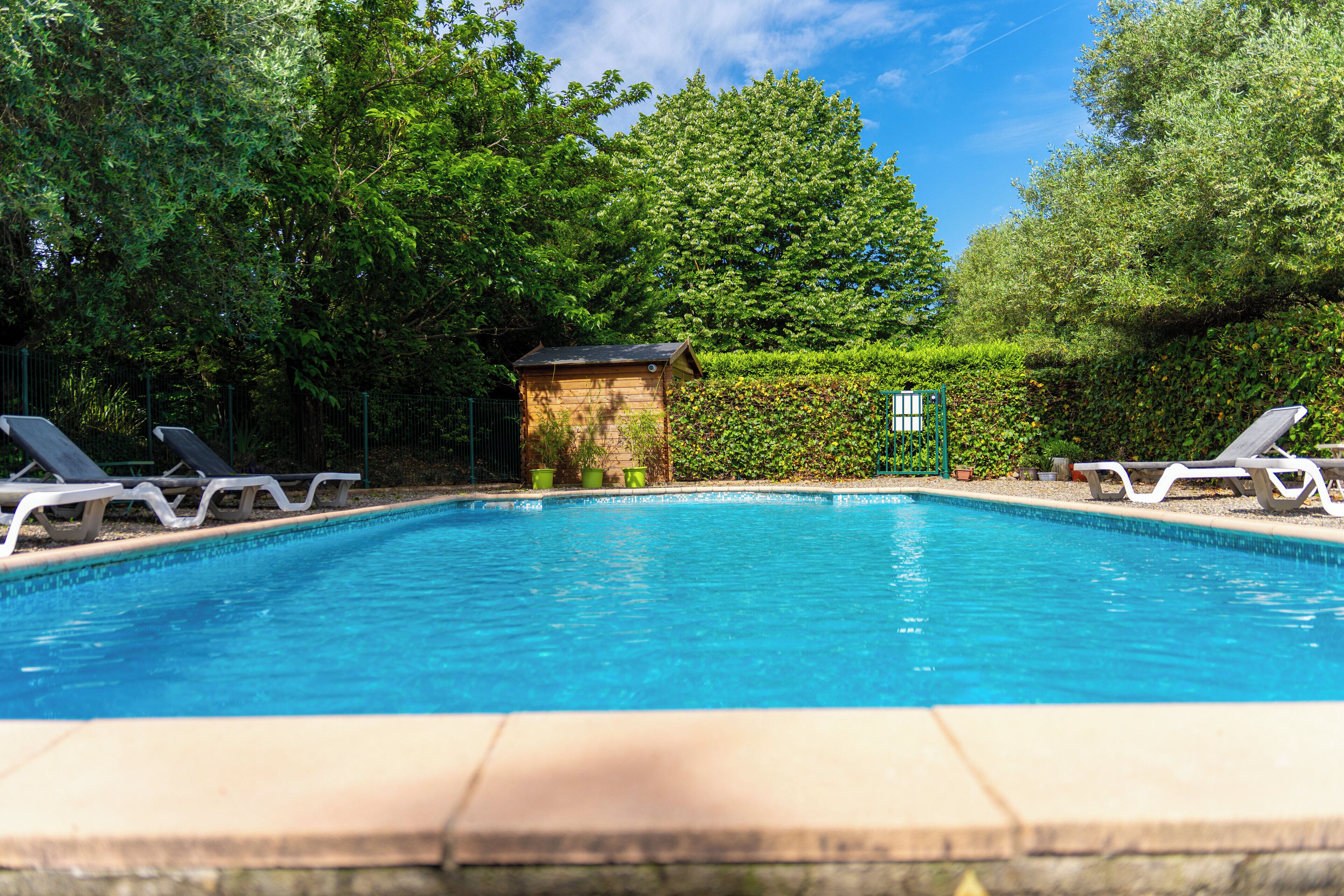 outdoor pool, pool loungers