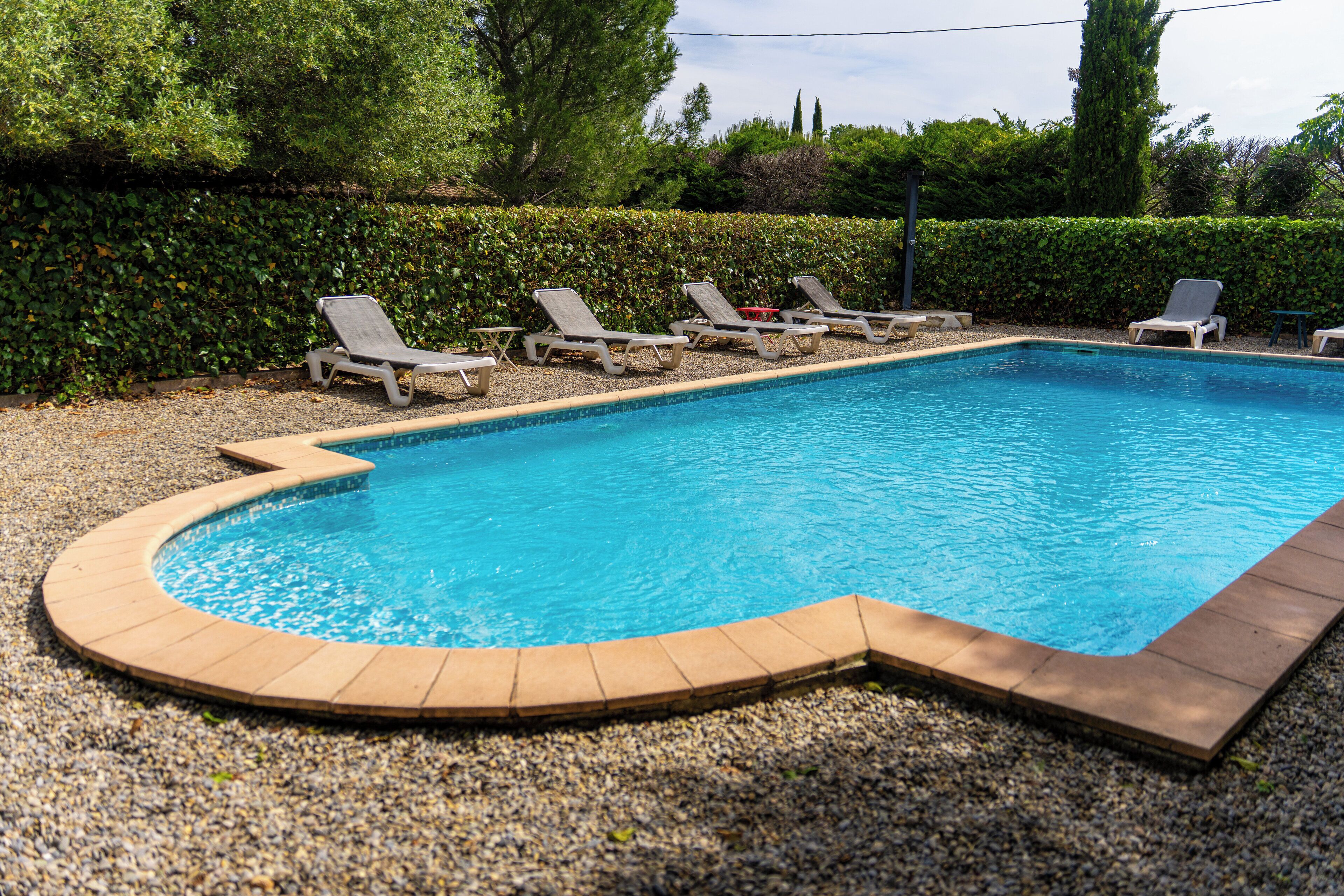 Ein Pool mit geschwungener Kante, umgeben von Kies und einem Heckenstreifen.