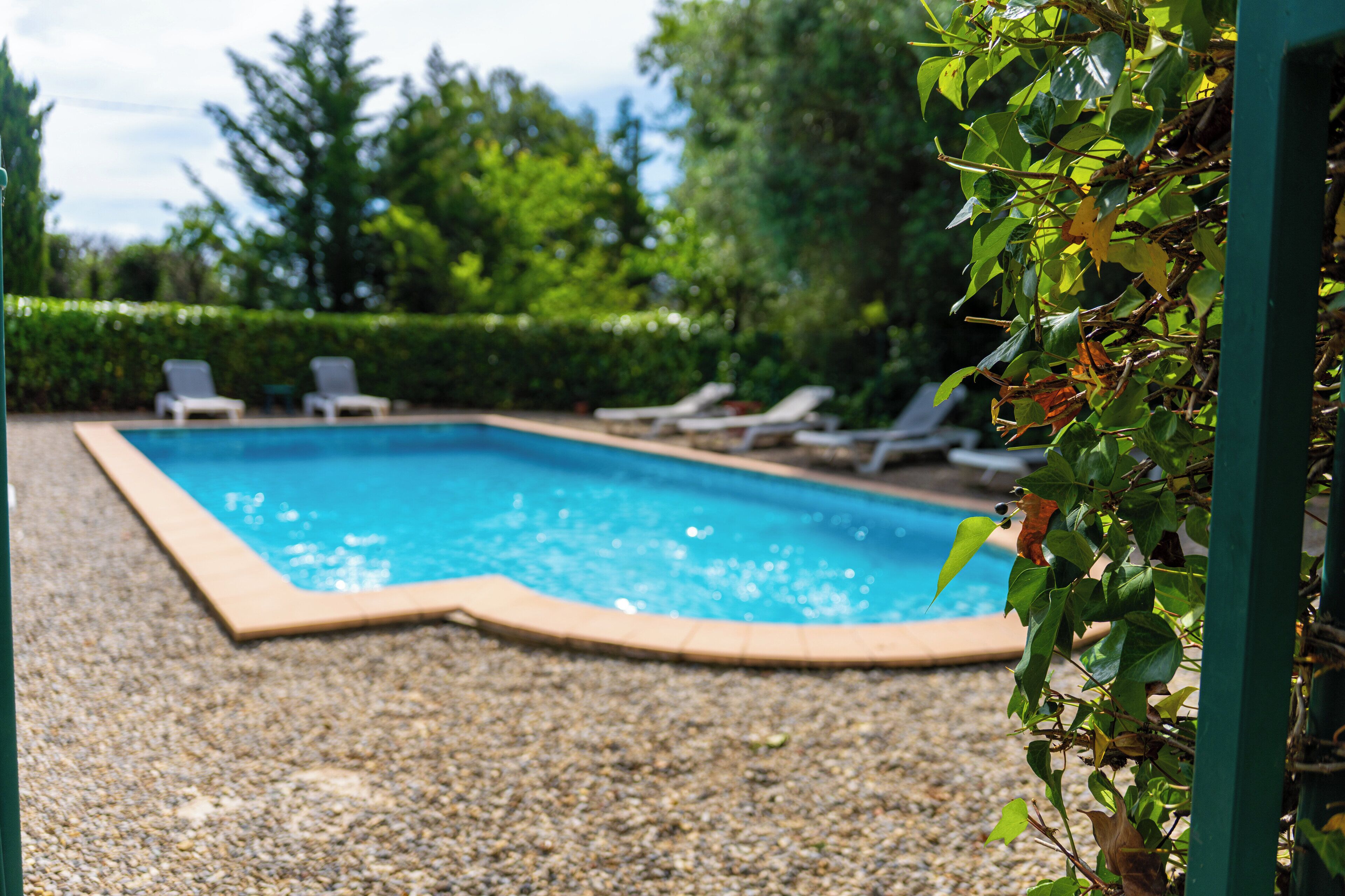 Una piscina con borde de guijarros, rodeada de sillones de descanso y vegetación.