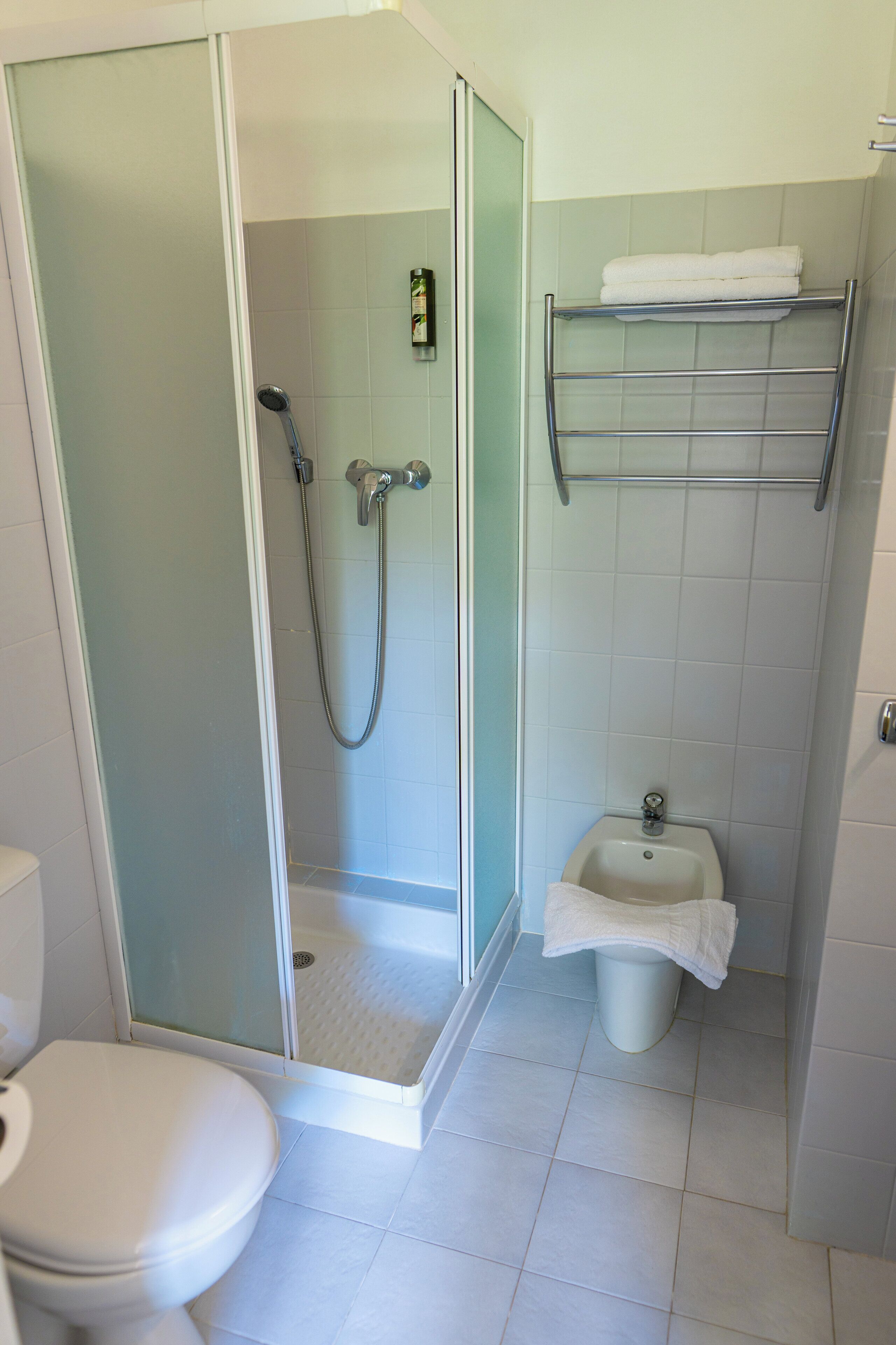 A bathroom with a toilet, a shower with a glass door, a bidet, and a towel rack.