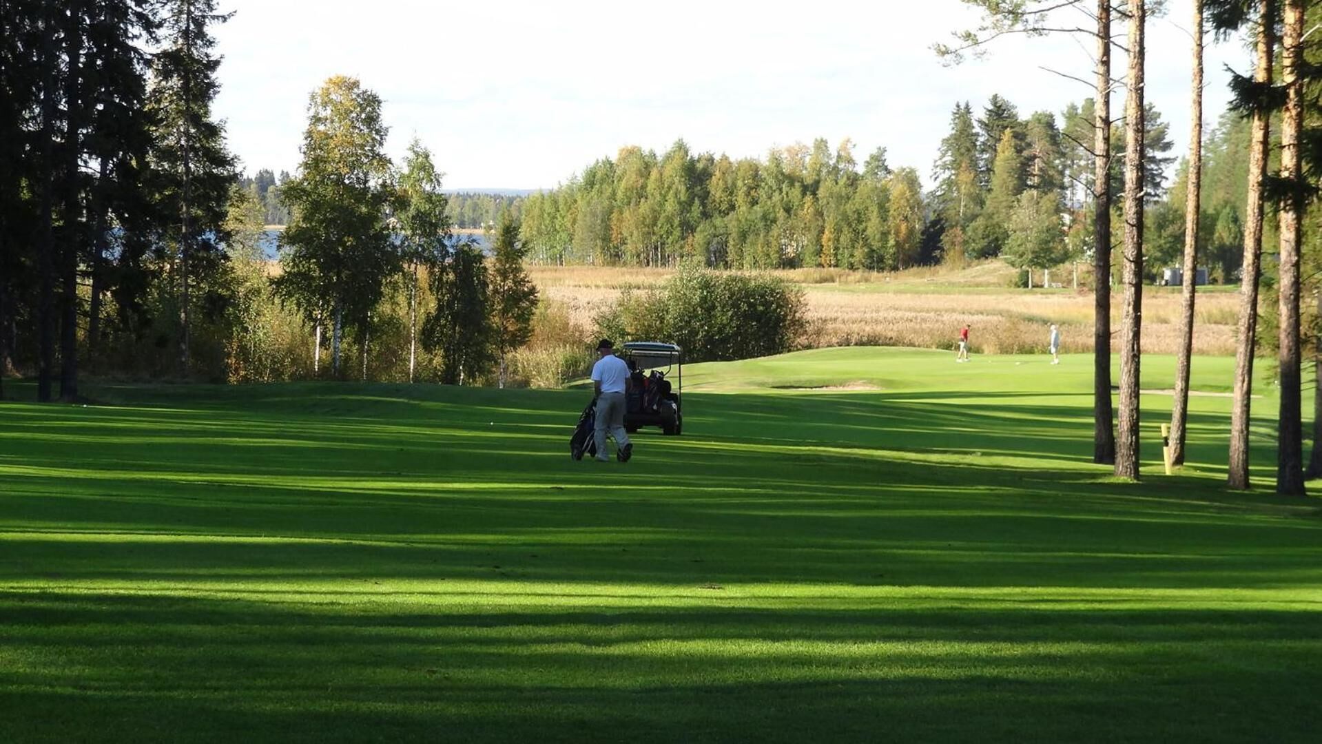 Golfe