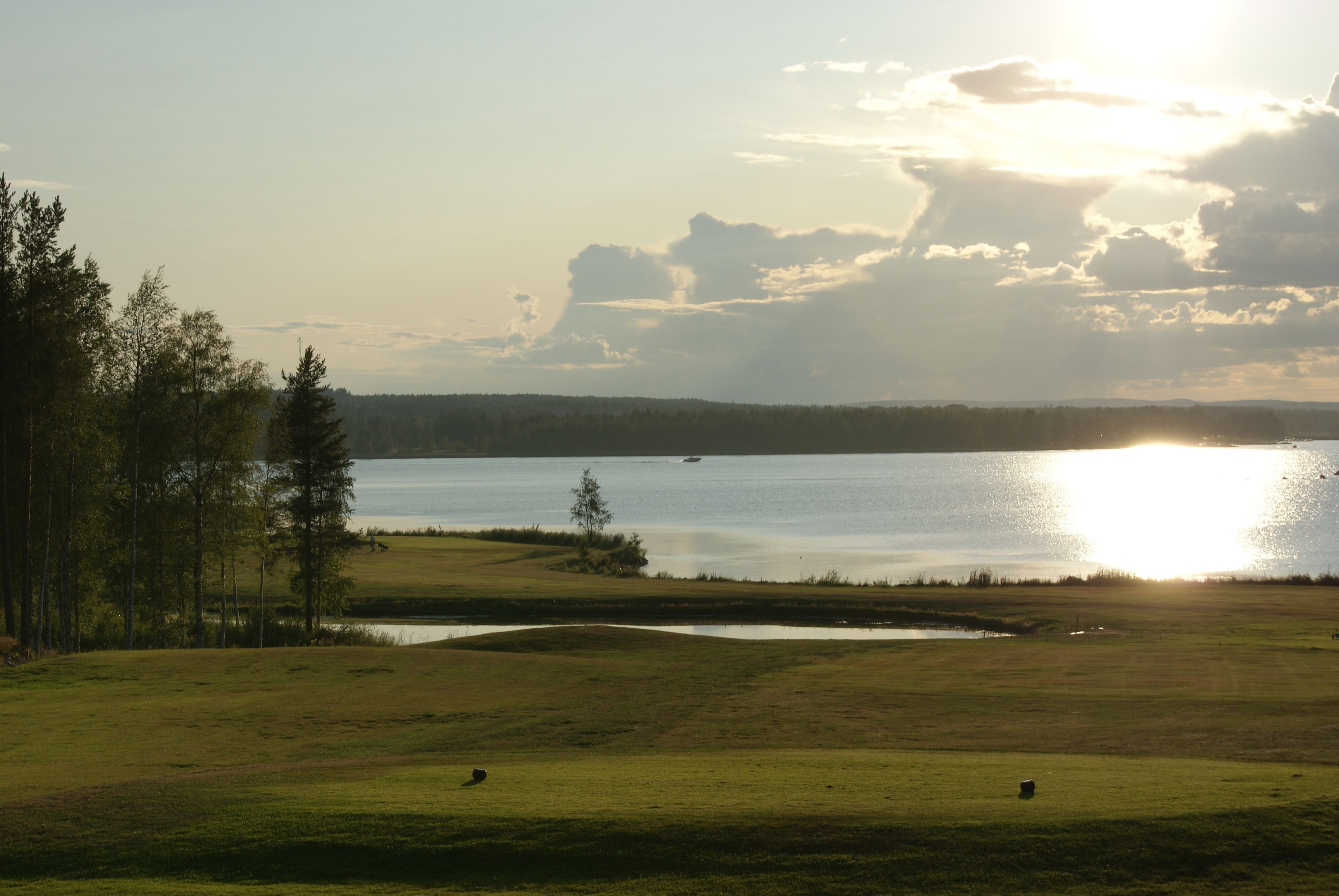 A serene landscape with a body of water, trees, and a grassy area.