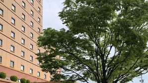 A hotel with a large garden of pink flowers in front, a large tree, and a building with multiple windows in the background. - Hotel KOYO (Hashima)