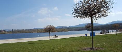 Un parque junto al lago con un banco, árboles y equipo de ejercicio.