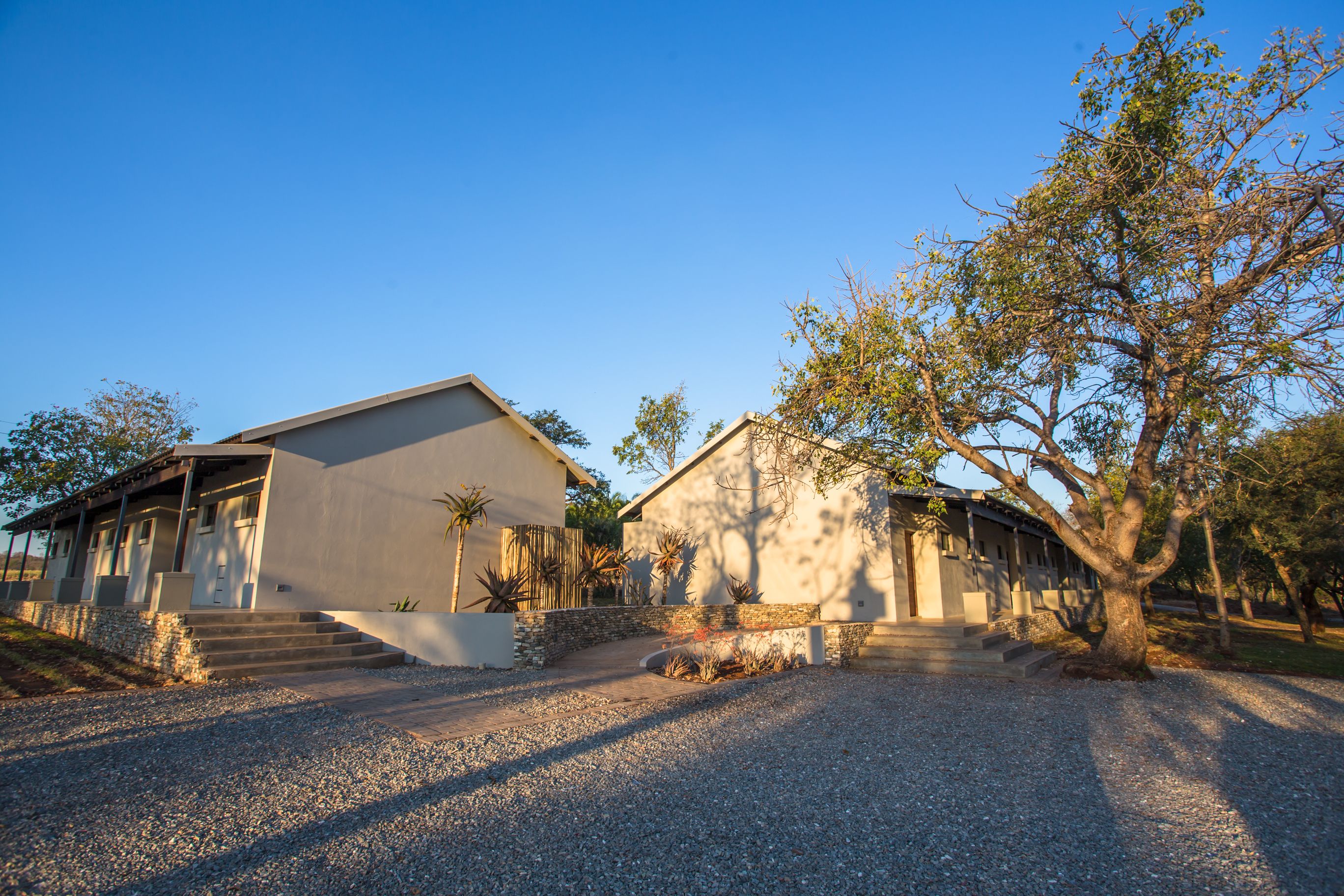 Une maison à deux étages avec une allée en gravier et un grand arbre dans le jardin.