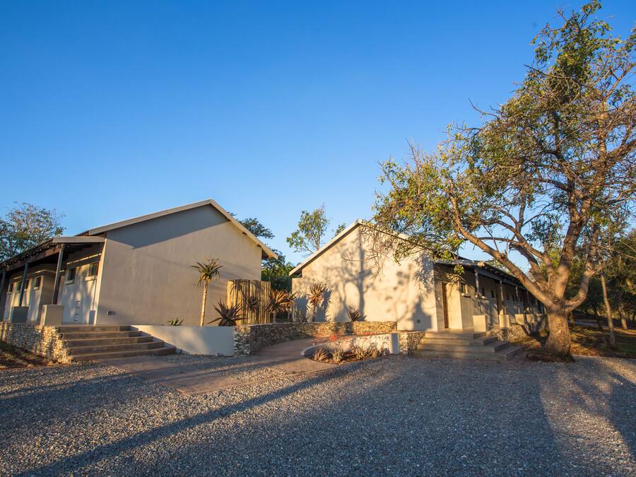 Une maison à deux étages avec une allée en gravier et un grand arbre dans le jardin.