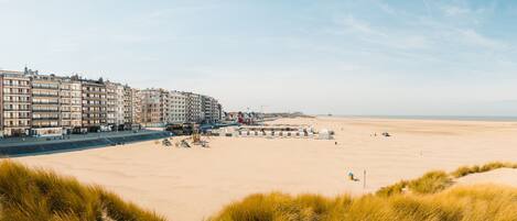 Un hotel frente al mar con varios pisos, una playa al fondo y dunas en primer plano.