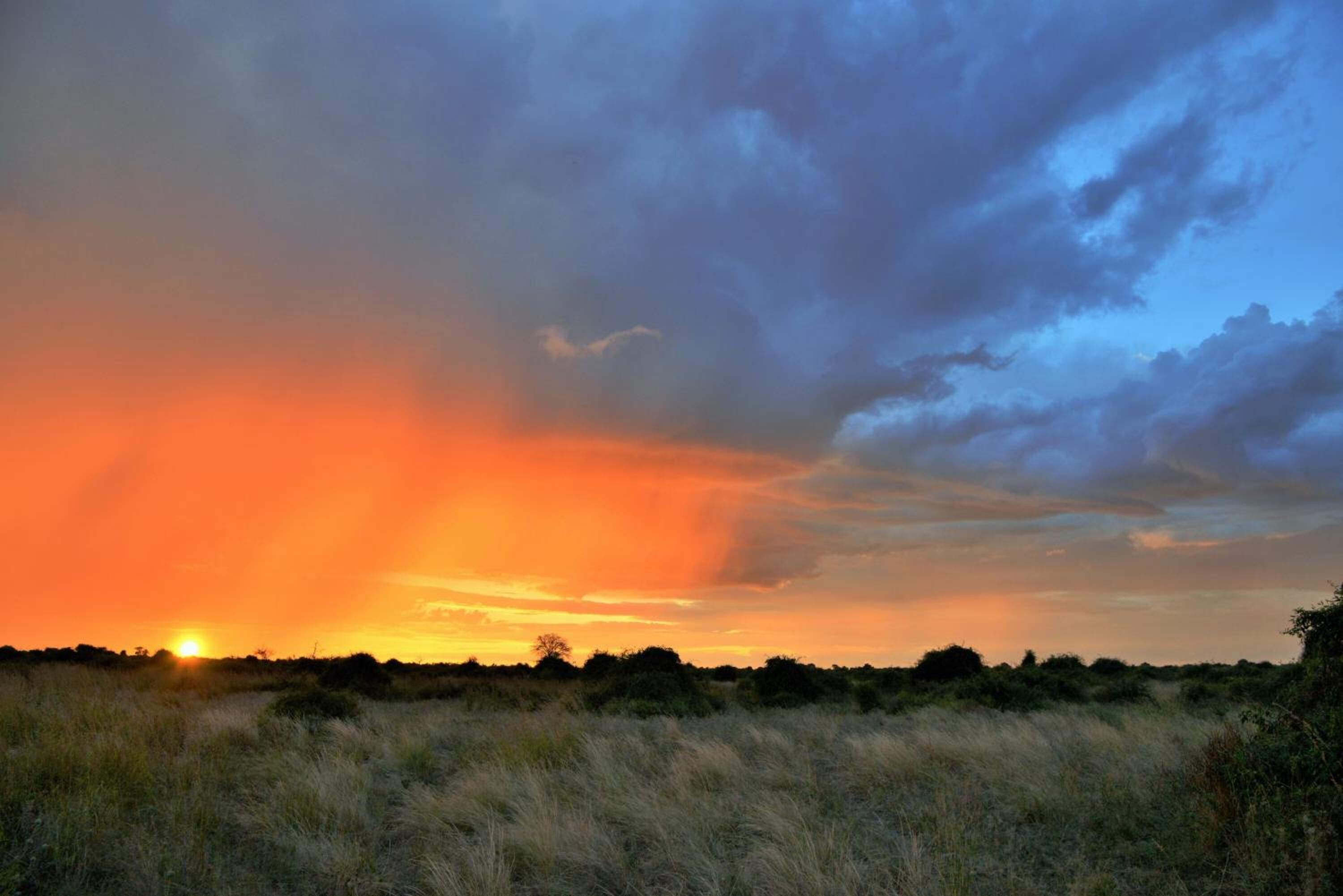 Un coucher de soleil sur un champ verdoyant, sous un ciel dégagé.