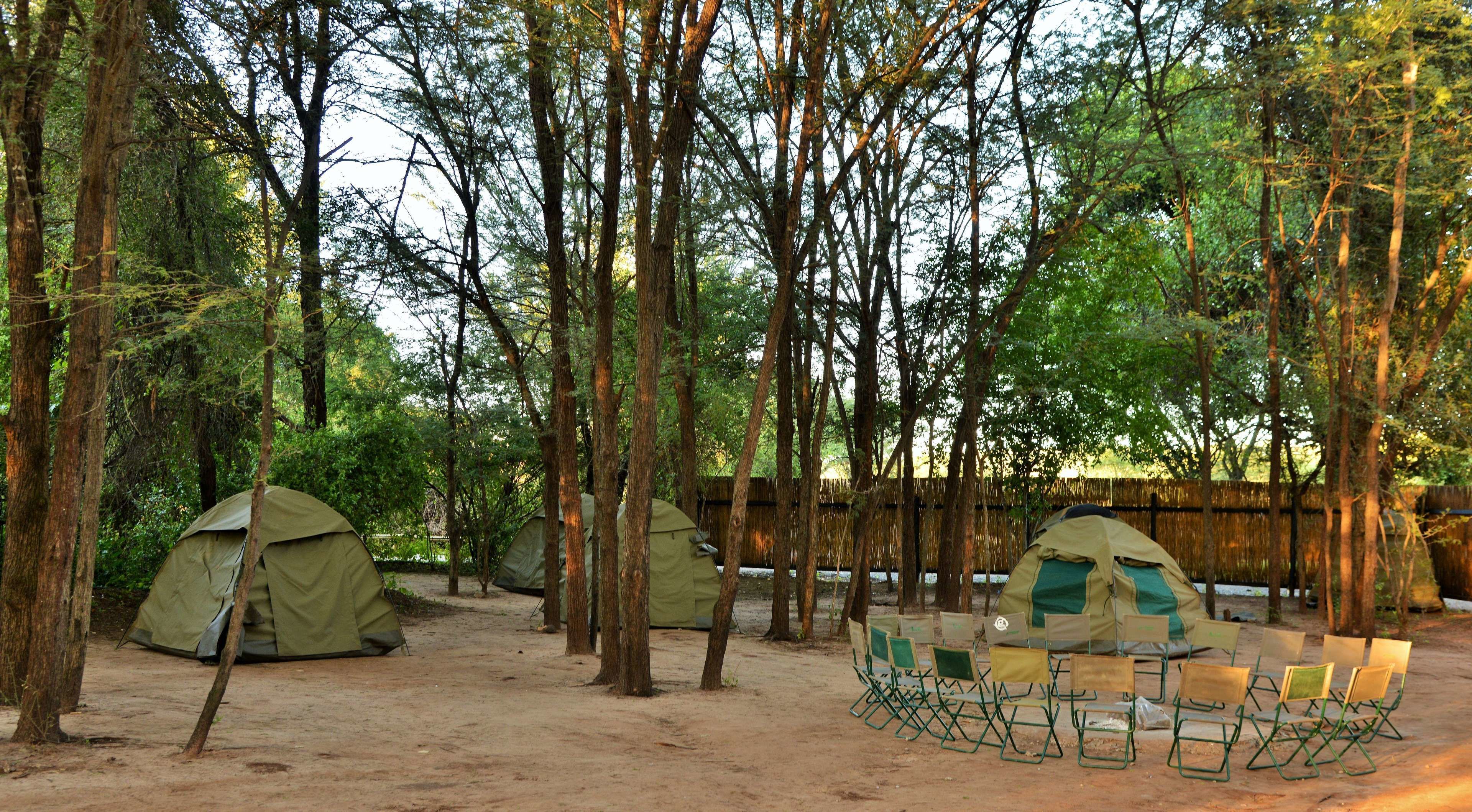 Un camping con tiendas de campaña y sillas plegables dispuestos en un claro rodeado de árboles.